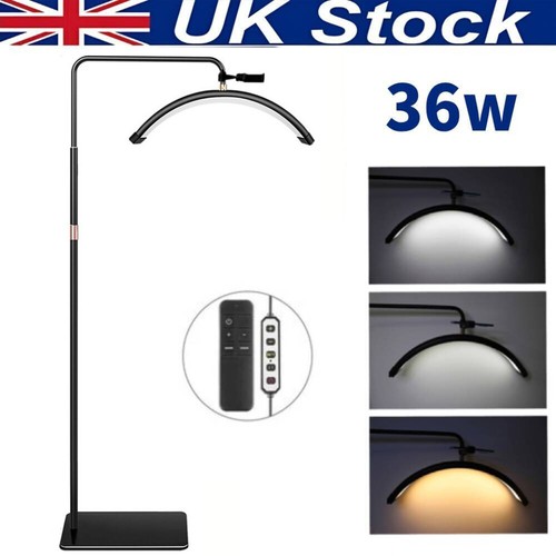 Half moon floor light - half,
